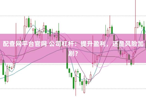 配查网平台官网 公司杠杆：提升盈利，还是风险加剧？