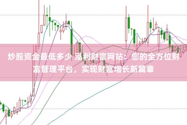 炒股资金最低多少 泓利财富网站:您的全方位财富管理平台,实现财富增长新篇章