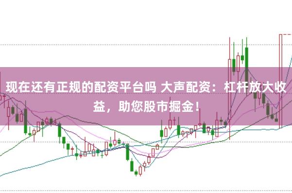 现在还有正规的配资平台吗 大声配资:杠杆放大收益,助您股市掘金!