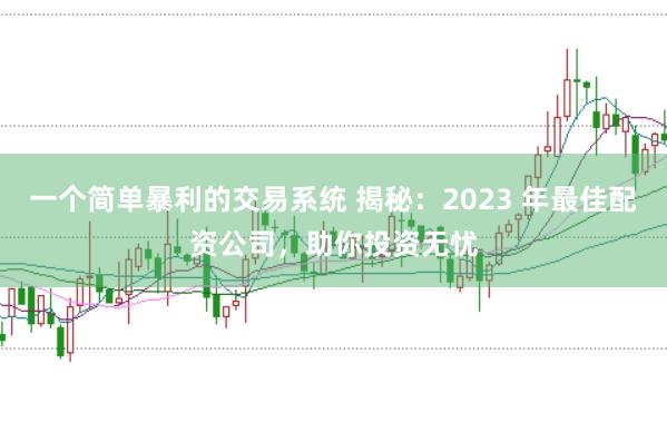 一个简单暴利的交易系统 揭秘：2023 年最佳配资公司，助你投资无忧