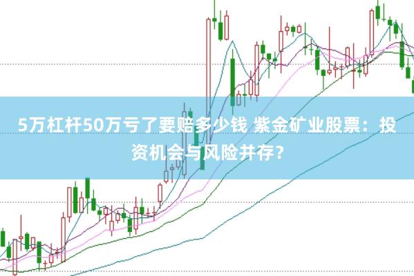 5万杠杆50万亏了要赔多少钱 紫金矿业股票:投资机会与风险并存?