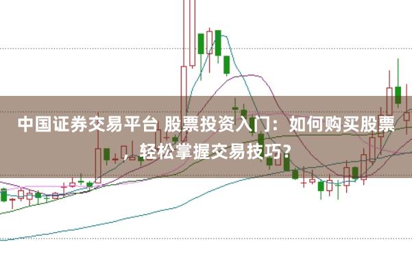 中国证券交易平台 股票投资入门：如何购买股票，轻松掌握交易技巧？