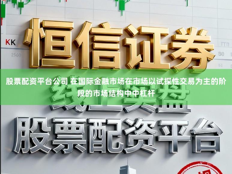 股票配资平台公司 在国际金融市场在市场以试探性交易为主的阶段的市场结构中中杠杆