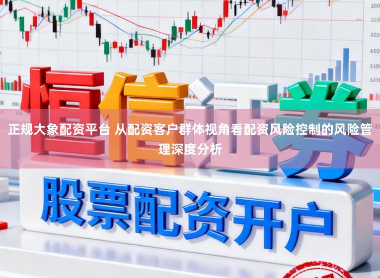 正规大象配资平台 从配资客户群体视角看配资风险控制的风险管理深度分析