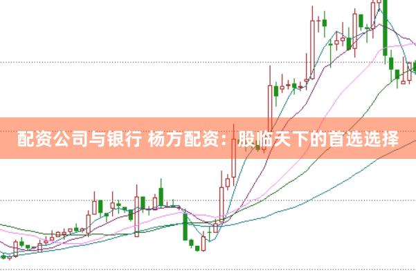 配资公司与银行 杨方配资：股临天下的首选选择