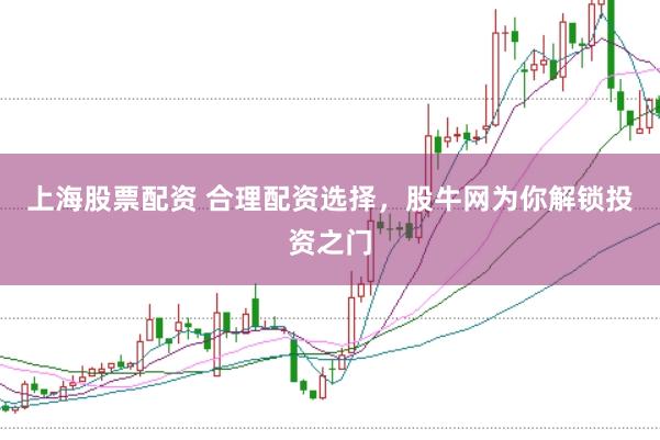 上海股票配资 合理配资选择，股牛网为你解锁投资之门